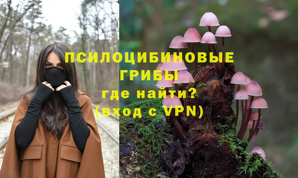 СК Навашино