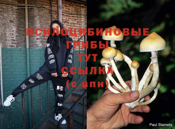 прущая мука Михайловка